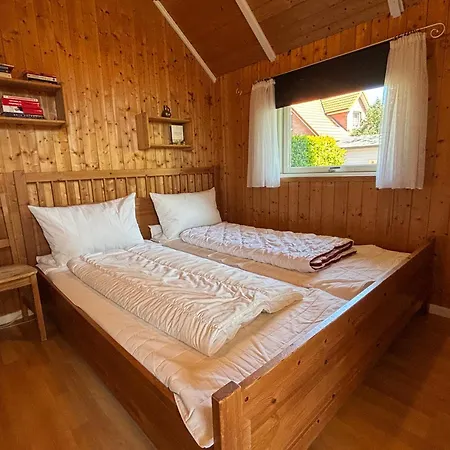 Seepferdchen Brasilien