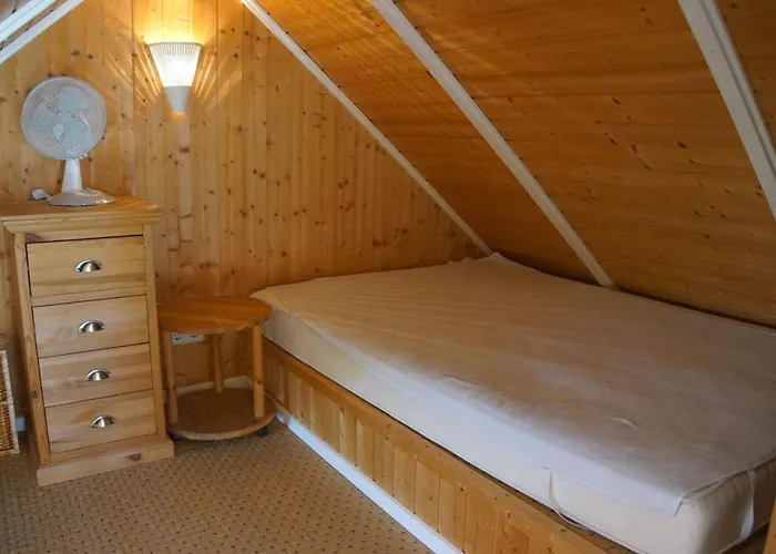 Seepferdchen Brasilien