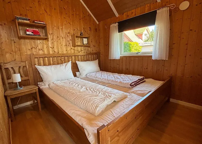 Seepferdchen Brasilien